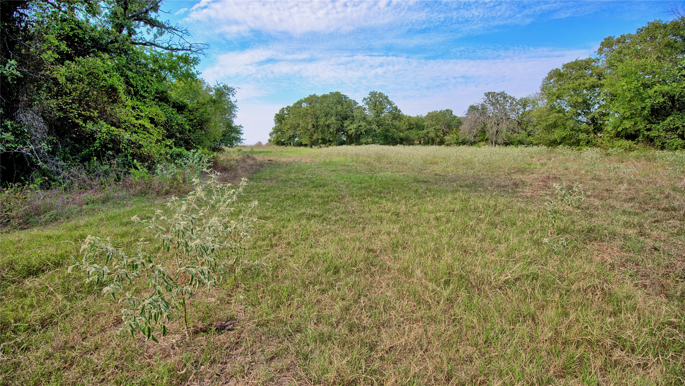 5775 Old Vashti Road Bowie TX 76230