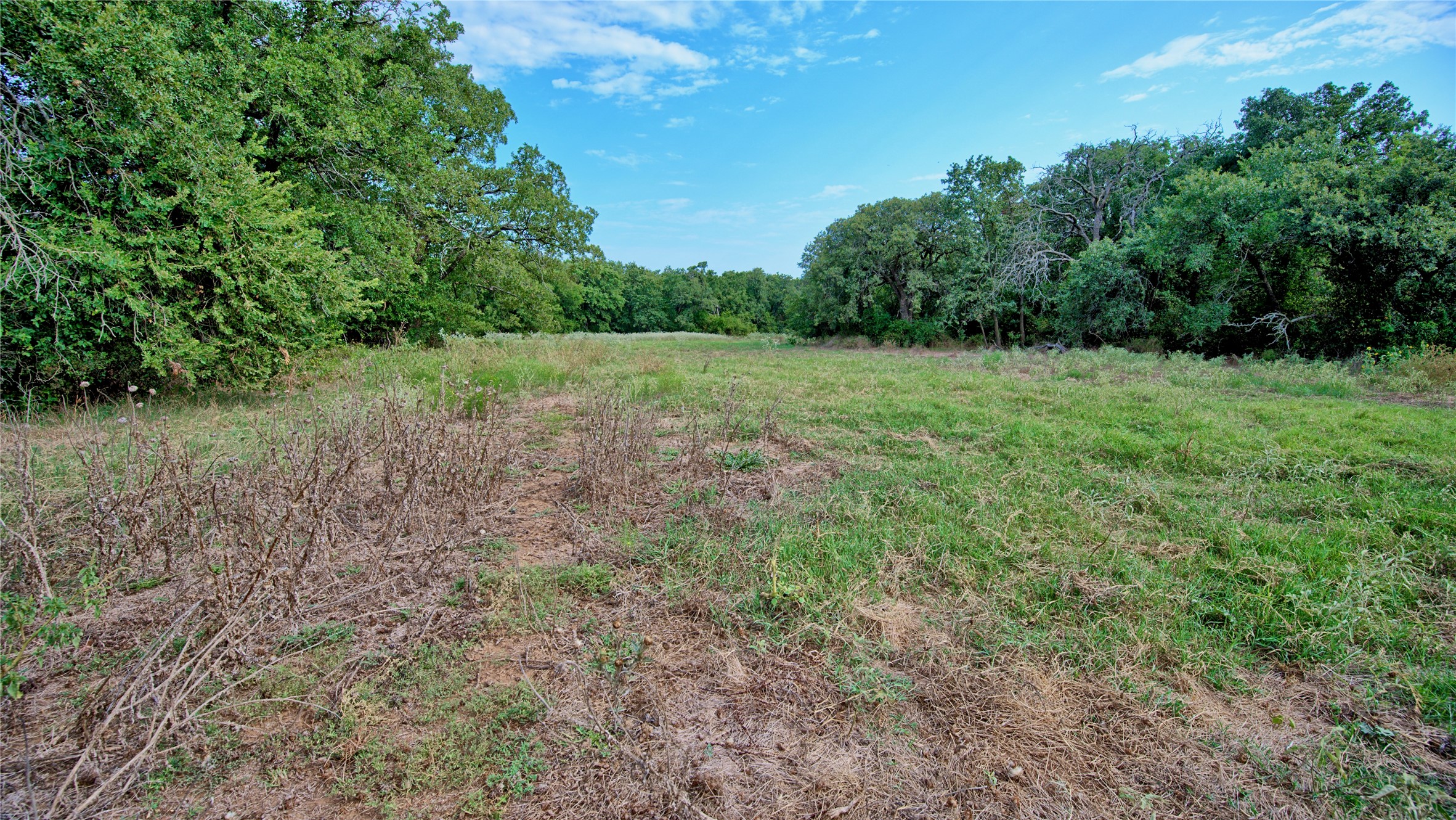 5775 Old Vashti Road Bowie TX 76230