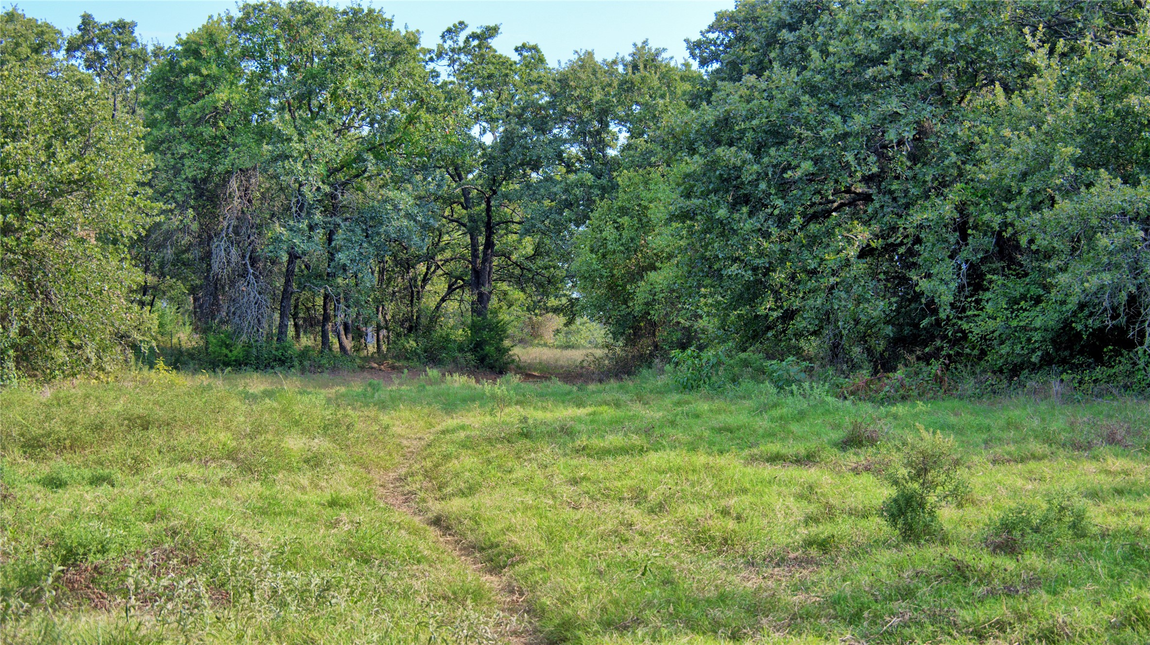 5775 Old Vashti Road Bowie TX 76230