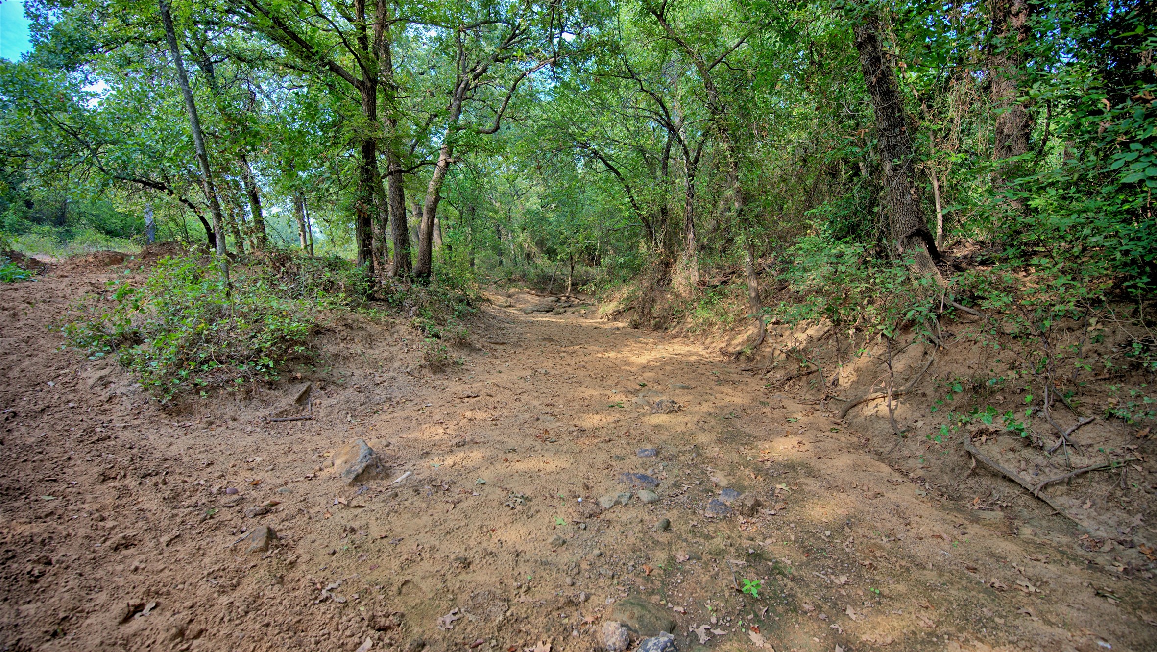5775 Old Vashti Road Bowie TX 76230