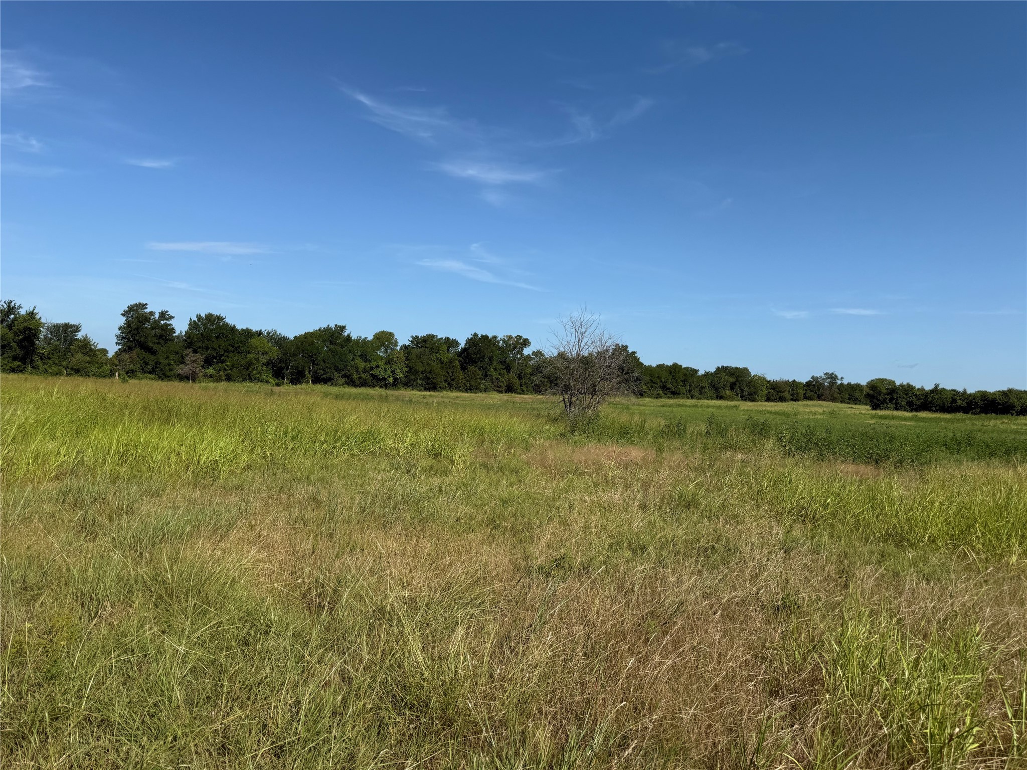 Tract 1 County Road 5045 Leonard TX 75452