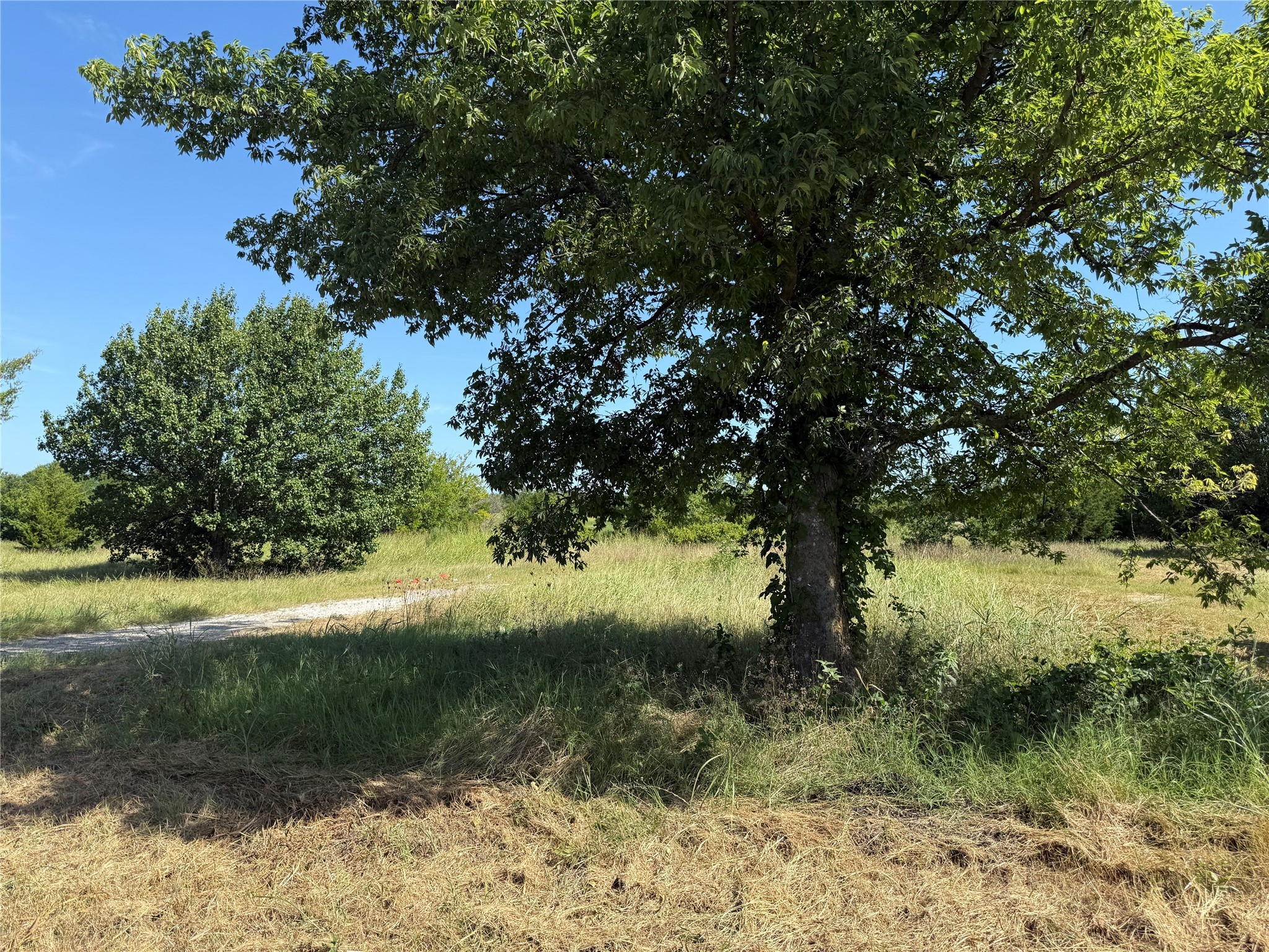 Tract 1 County Road 5045 Leonard TX 75452