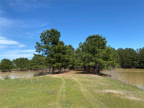 1215 Cr 4165 Quitman TX 75783