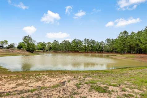 1215 Cr 4165 Quitman TX 75783