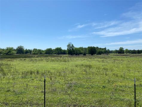 1215 Cr 4165 Quitman TX 75783