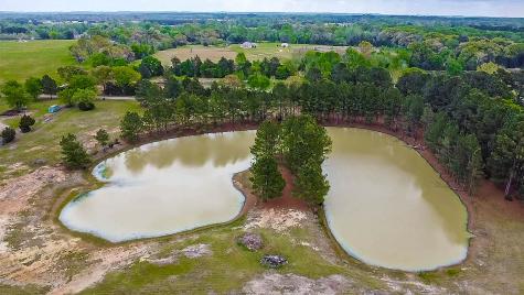 1215 Cr 4165 Quitman TX 75783