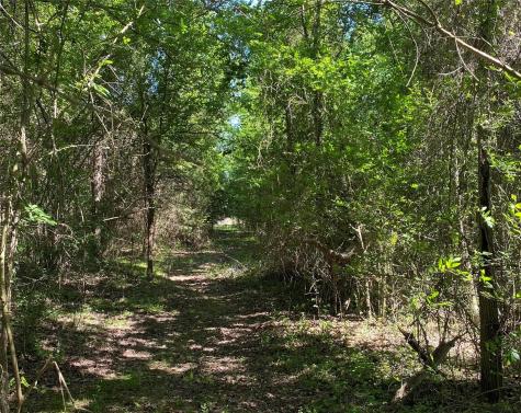 1215 Cr 4165 Quitman TX 75783