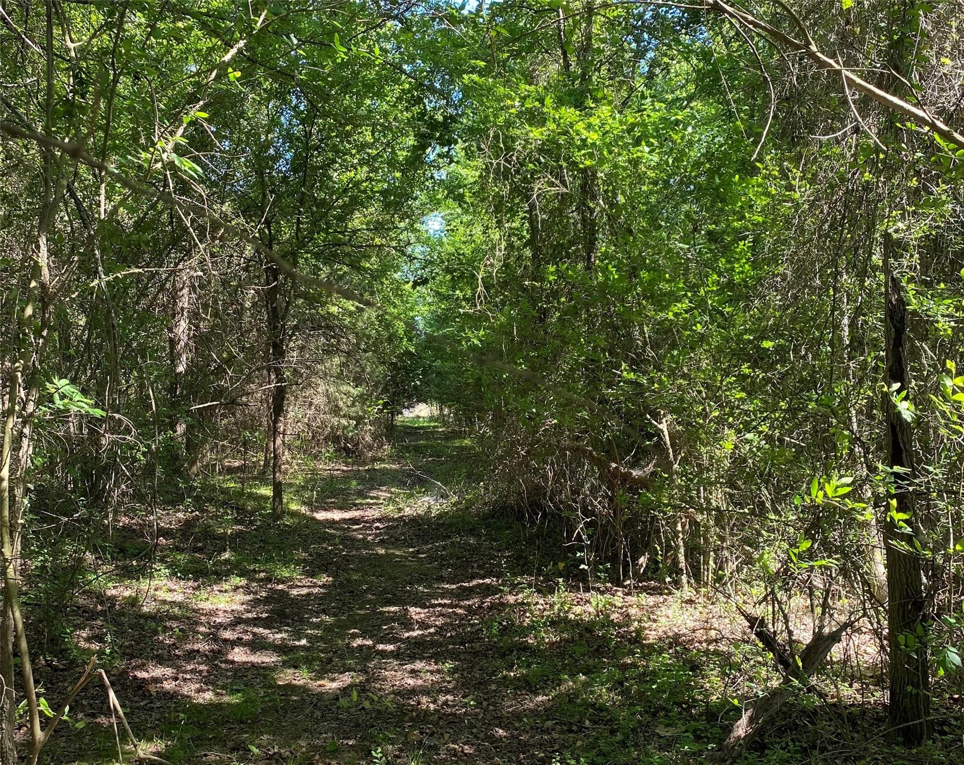1215 Cr 4165 Quitman TX 75783