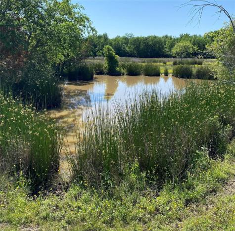 1215 Cr 4165 Quitman TX 75783