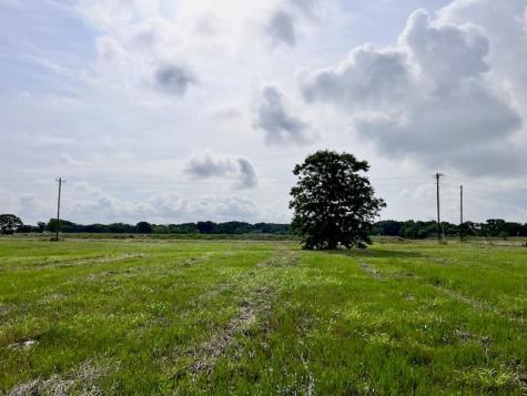 9820 S Us Highway 287 Corsicana TX 75109
