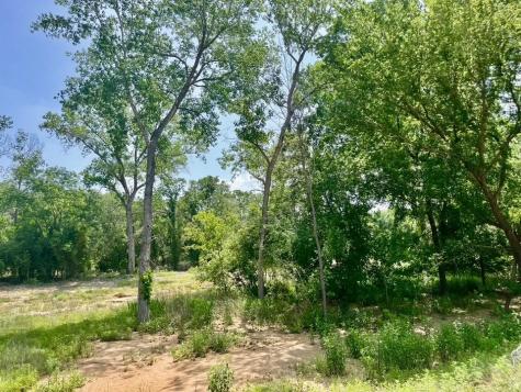 Lot 46 Antrim Court Poolville TX 76487