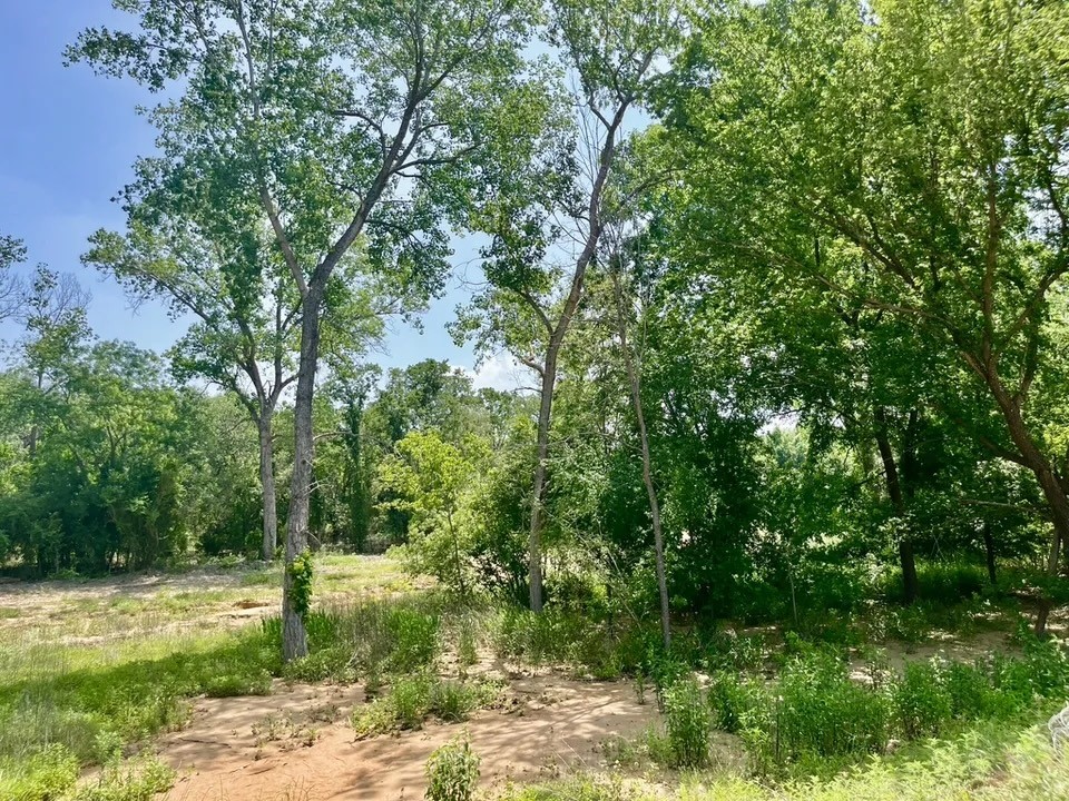 Lot 46 Antrim Court Poolville TX 76487