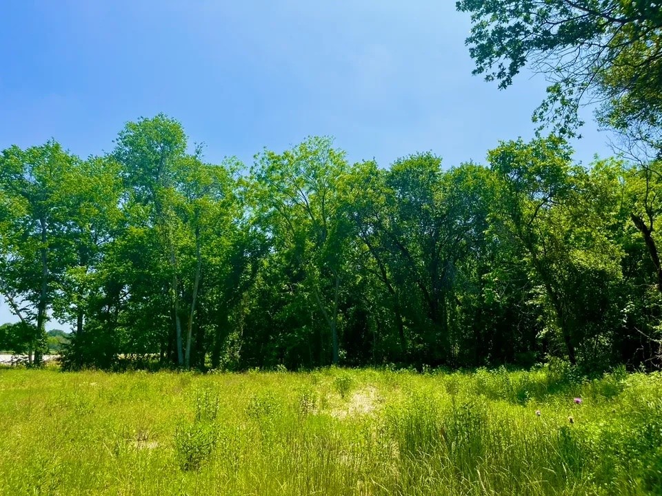 Lot 46 Antrim Court Poolville TX 76487