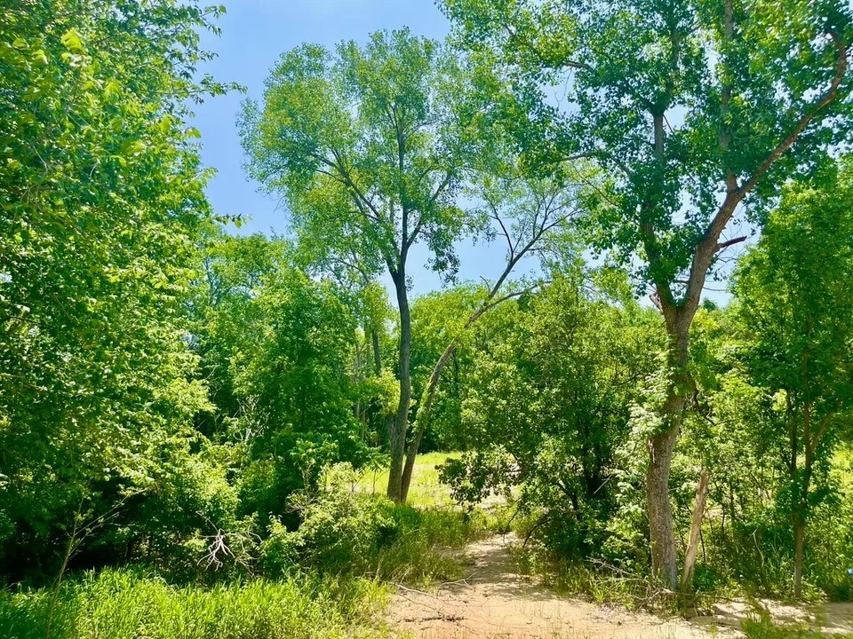 Lot 46 Antrim Court Poolville TX 76487