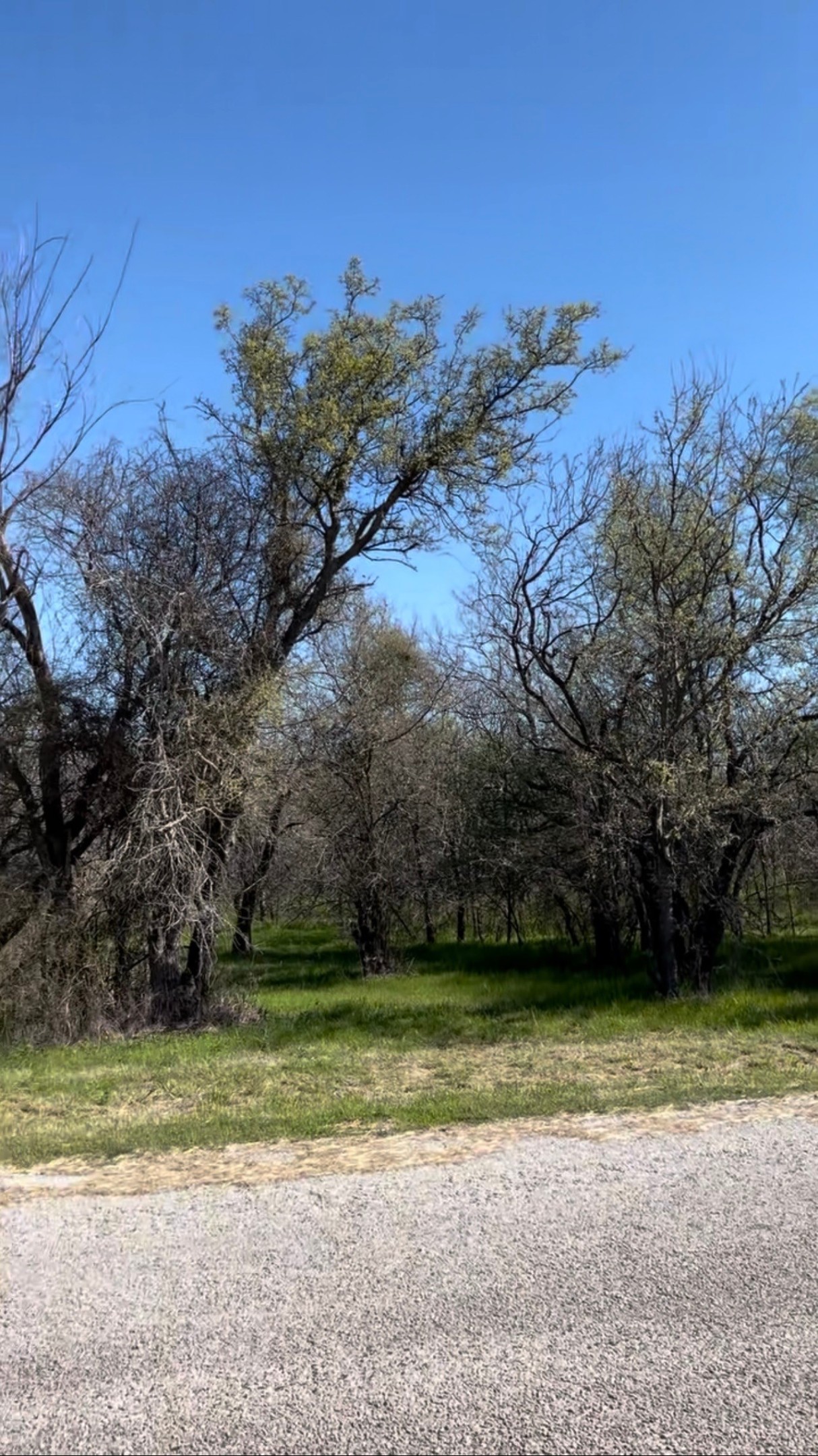 Tbd Port O Call Drive Runaway Bay TX 76426