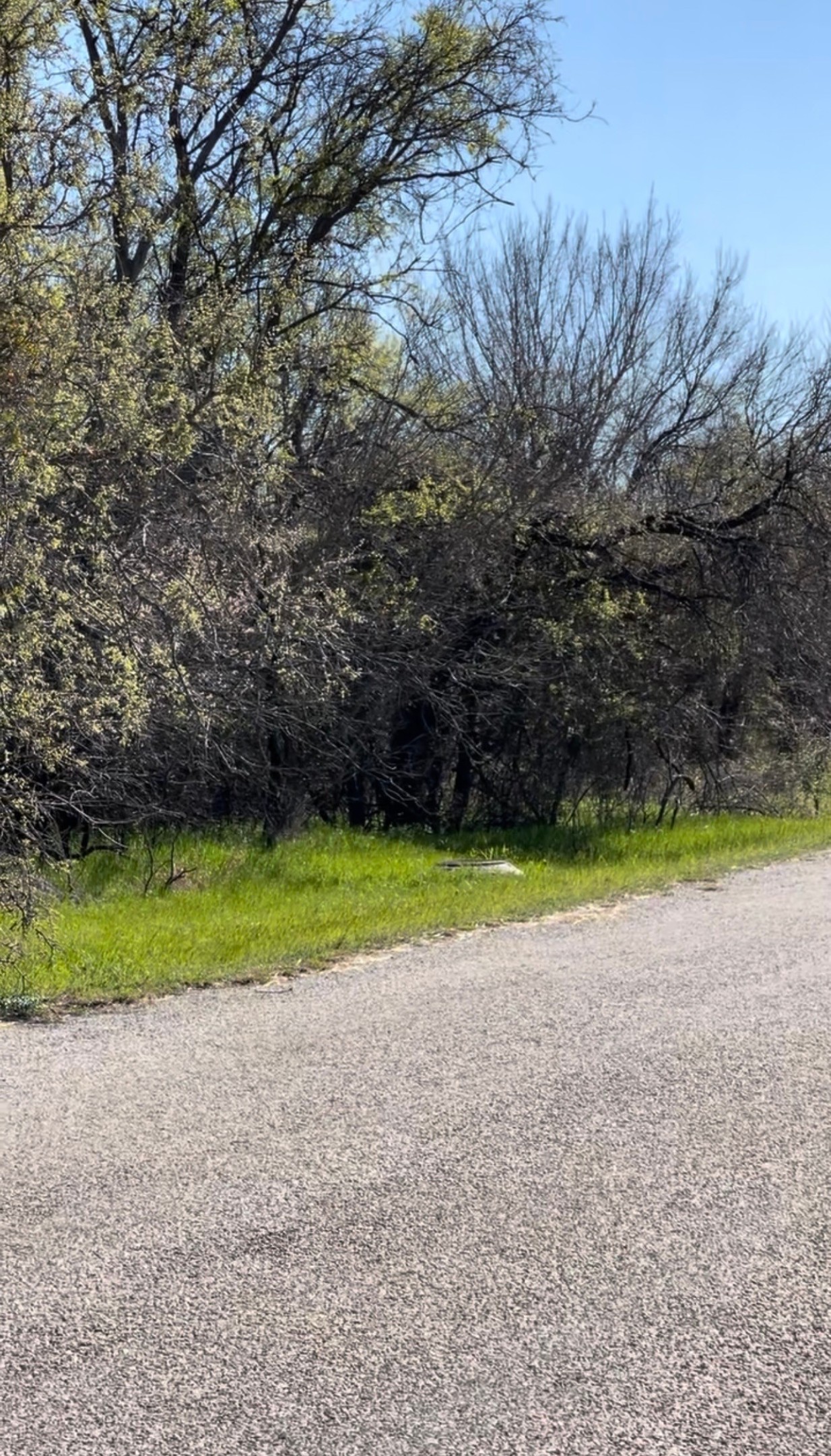 Tbd Port O Call Drive Runaway Bay TX 76426