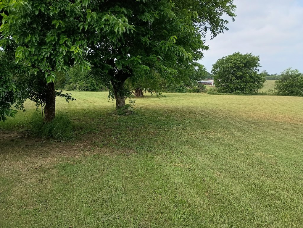 3100 Briarcliff Circle Gainesville TX 76240