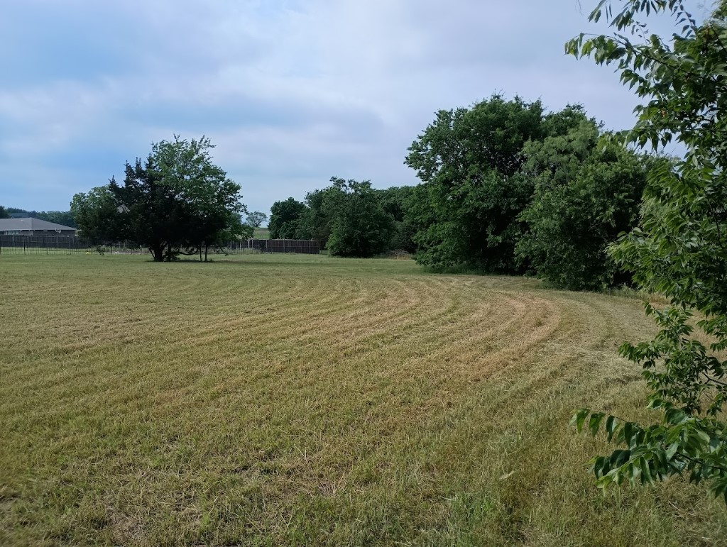 3100 Briarcliff Circle Gainesville TX 76240