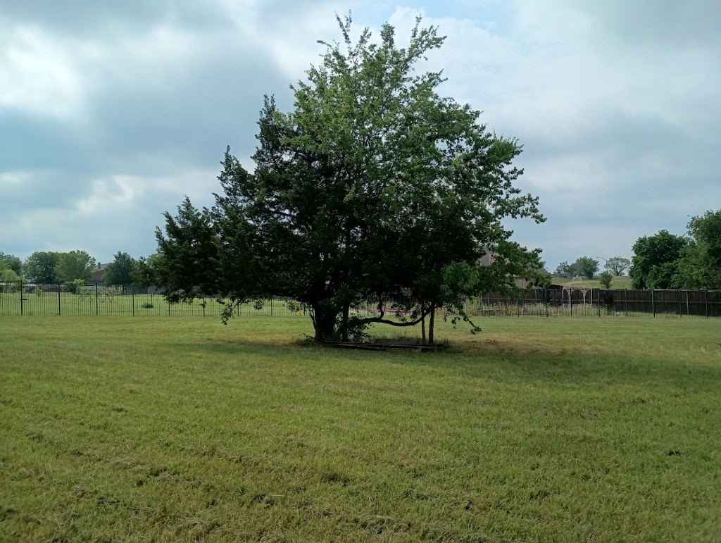 3100 Briarcliff Circle Gainesville TX 76240