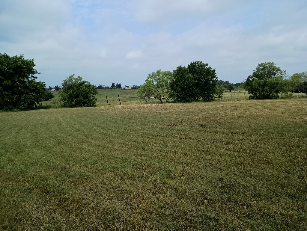 3100 Briarcliff Circle Gainesville TX 76240