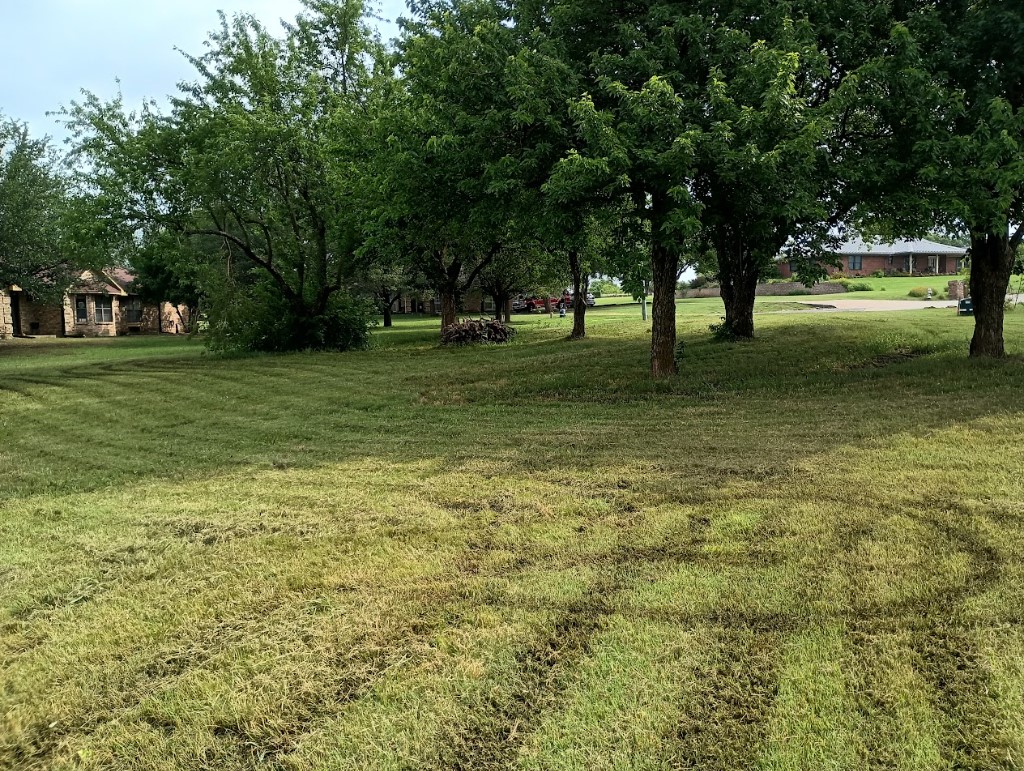 3100 Briarcliff Circle Gainesville TX 76240