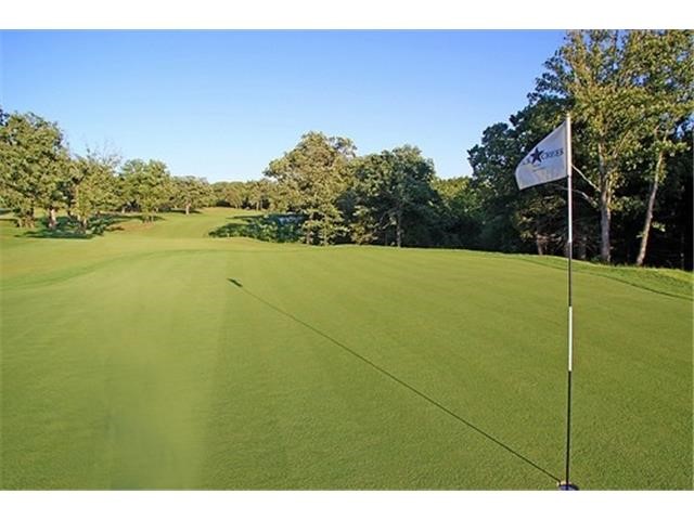 Tbd Palisades Drive Gordonville TX 75245