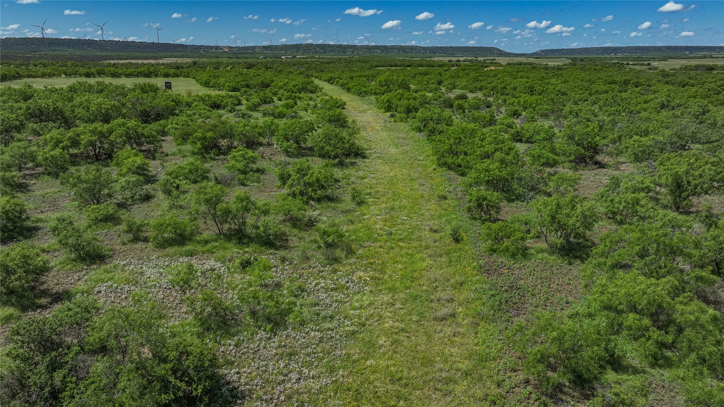 6025 Fm 504 Lohn TX 76852