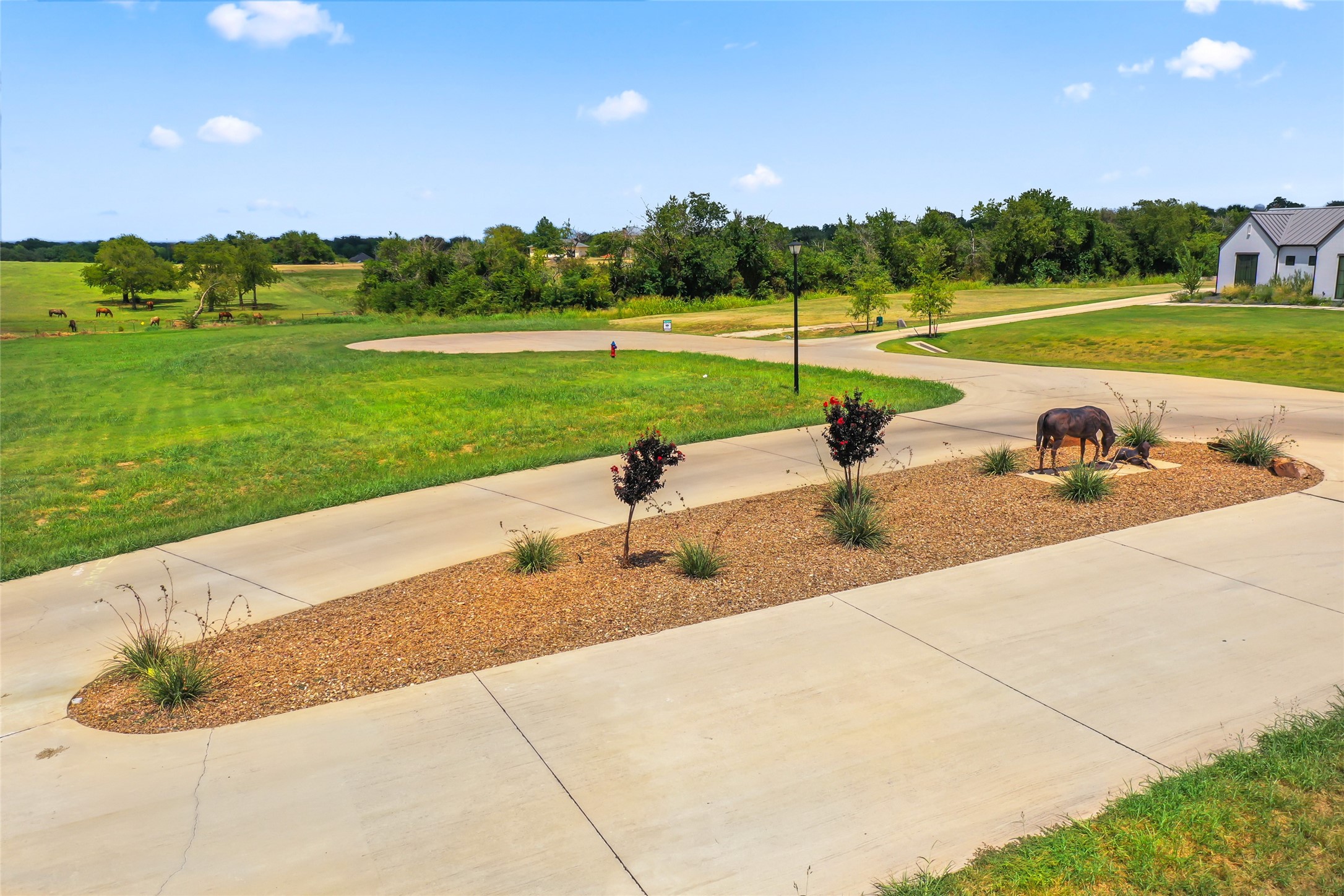 435 Massey Road Pilot Point TX 76258
