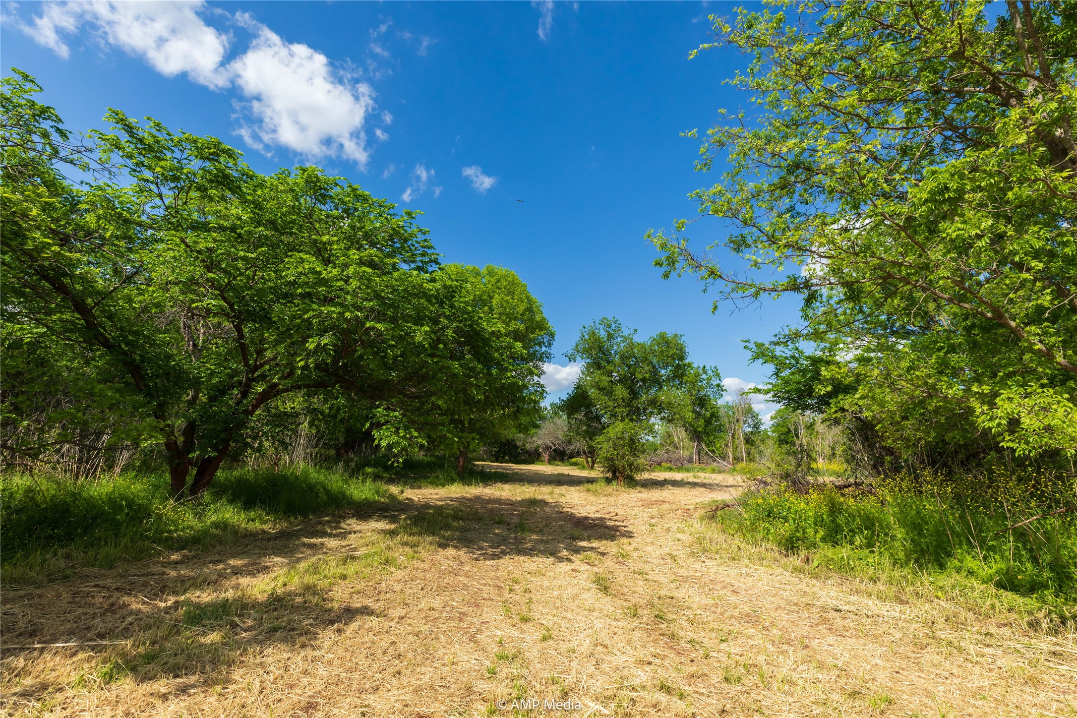 Lot 3 Tbd Cr 327 Abilene TX 79601