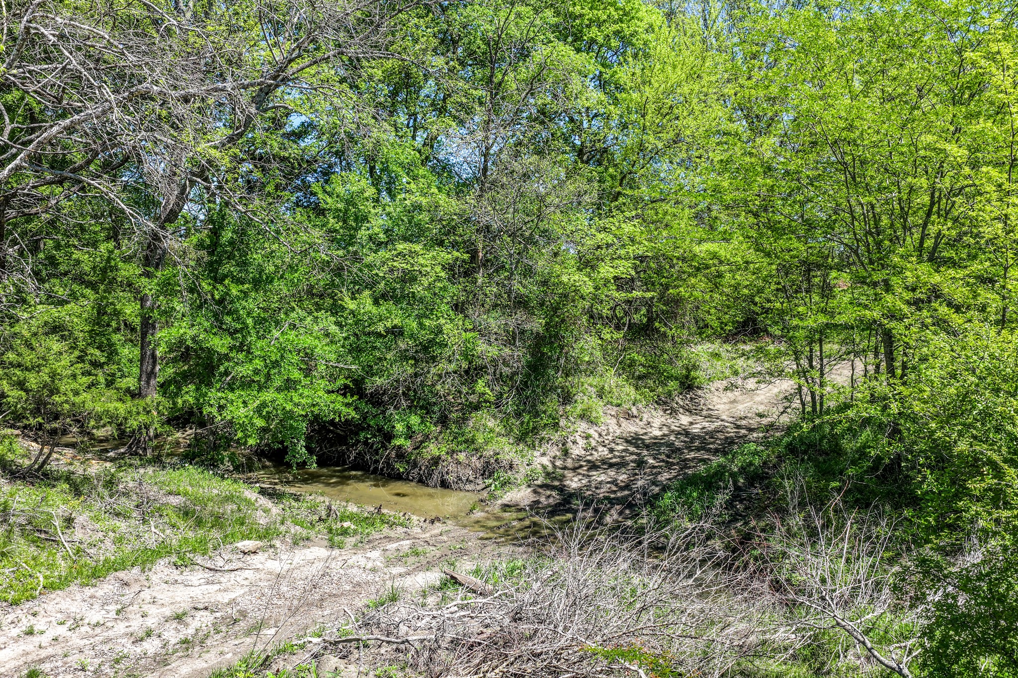 000 Fm 1497 Paris TX 75462