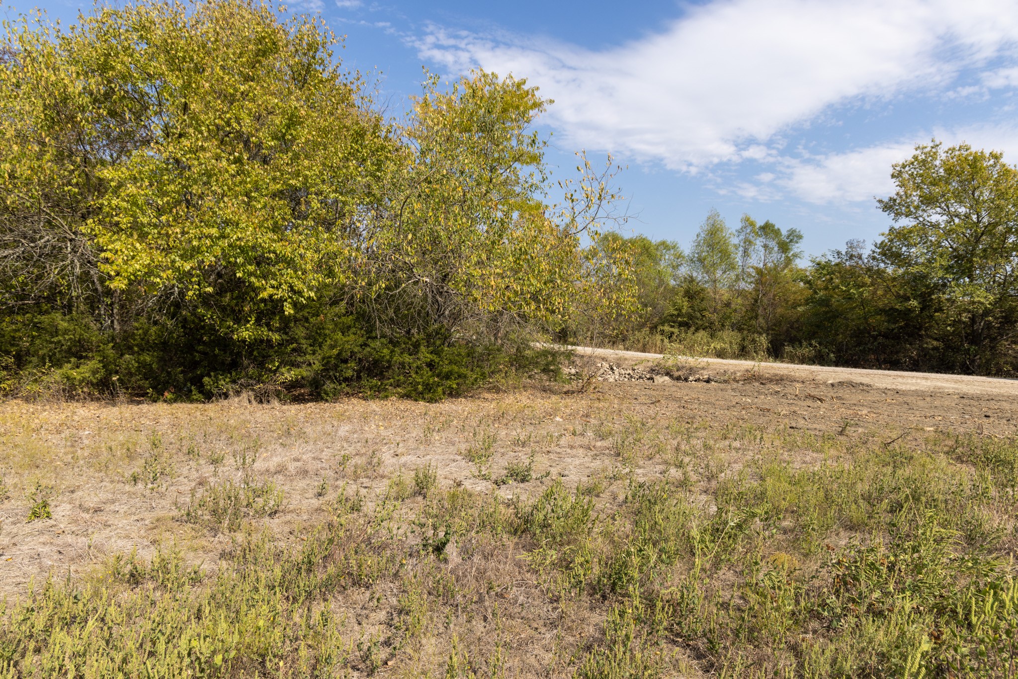 Tract 6 County Road 2935 Dodd City TX 75438
