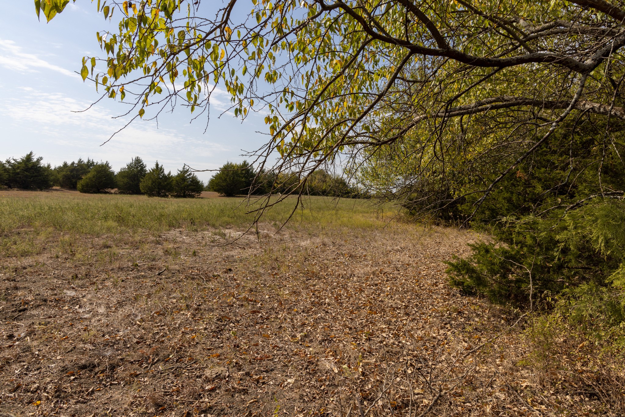 Tract 6 County Road 2935 Dodd City TX 75438