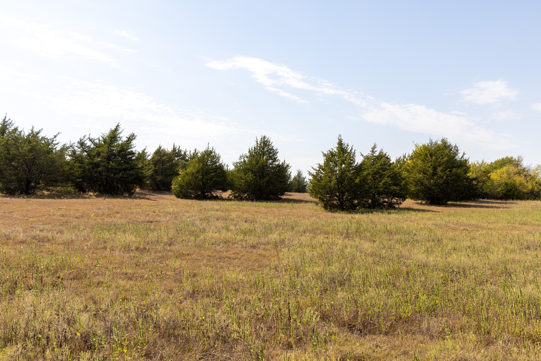 Tract 6 County Road 2935 Dodd City TX 75438