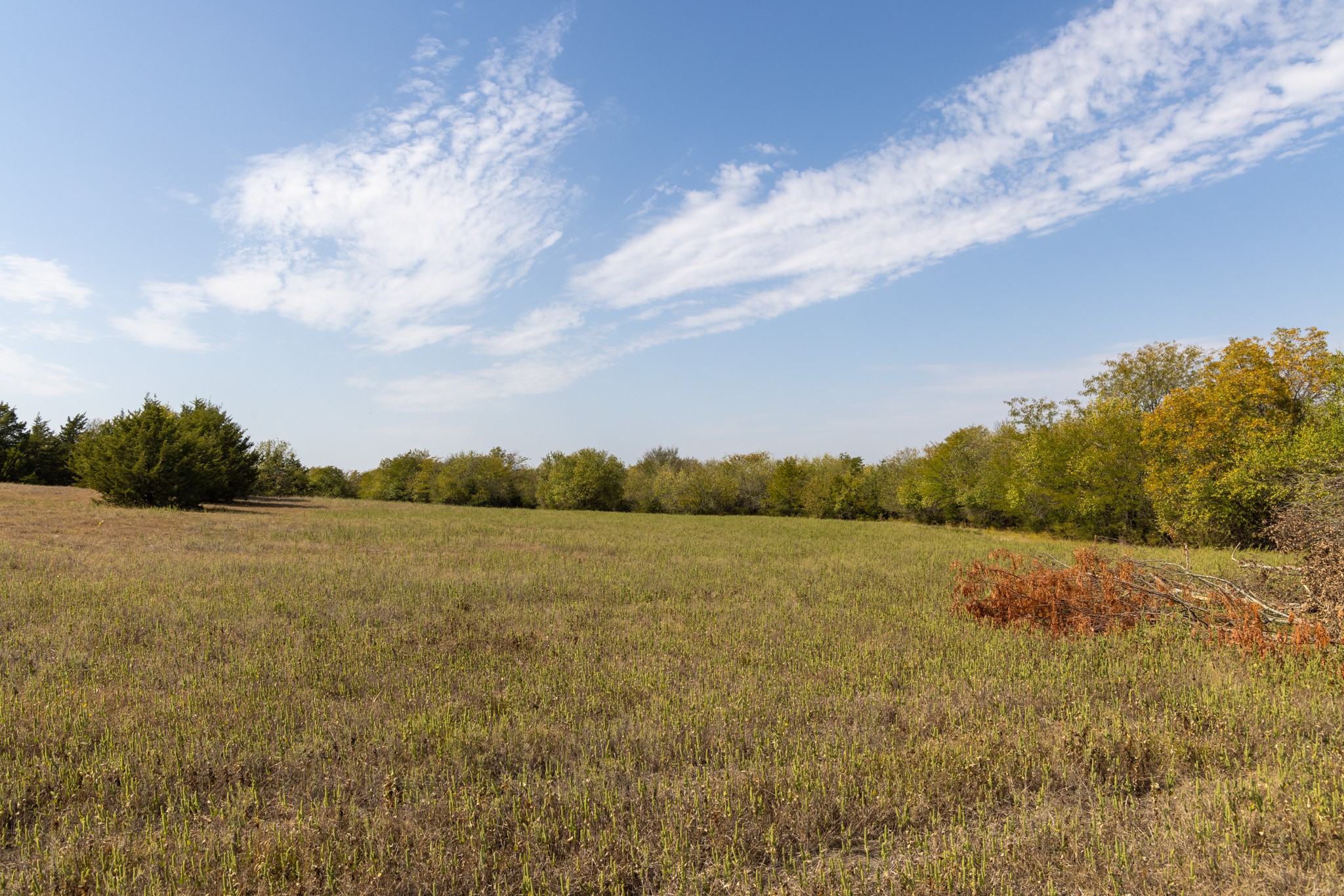 Tract 6 County Road 2935 Dodd City TX 75438
