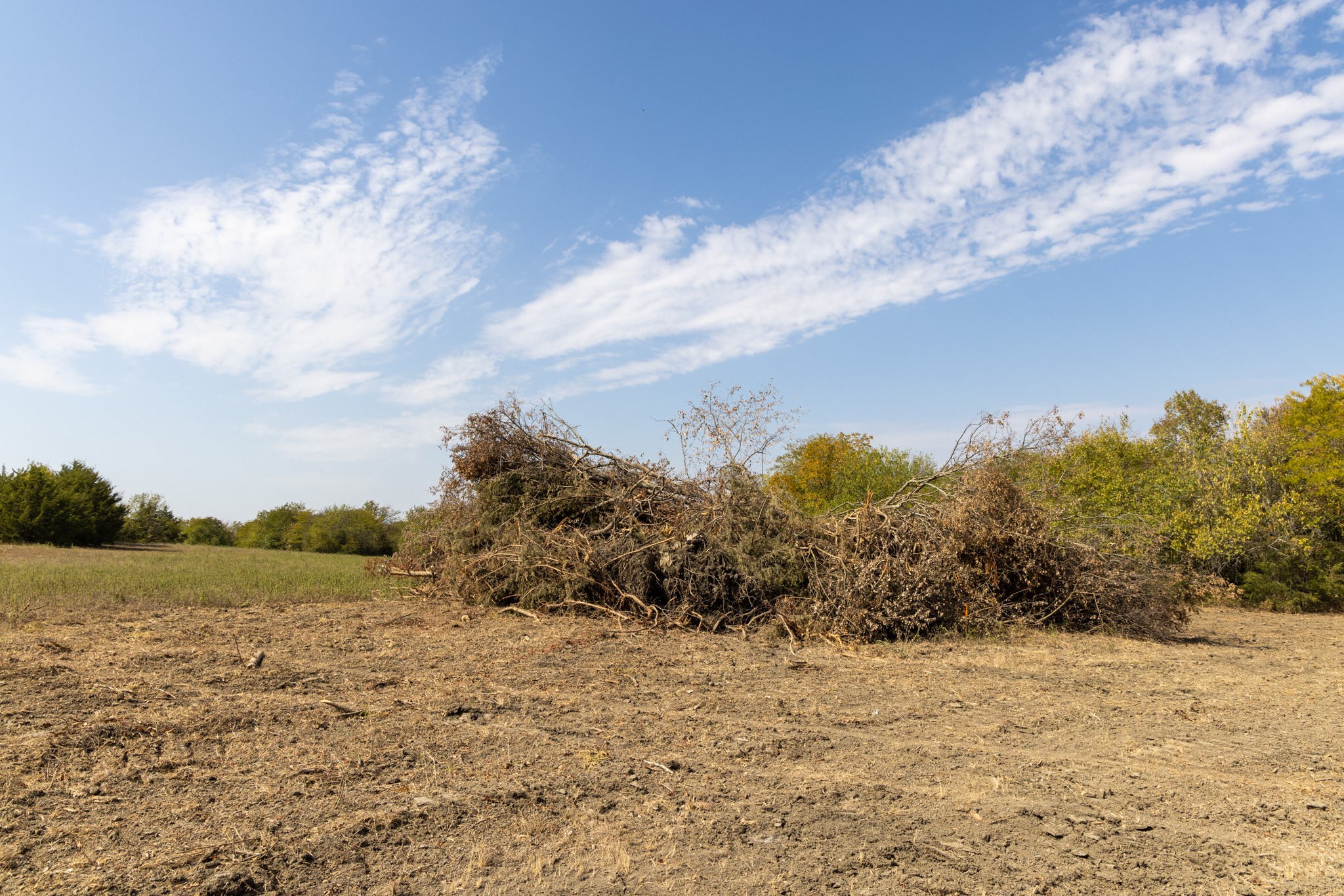 Tract 6 County Road 2935 Dodd City TX 75438