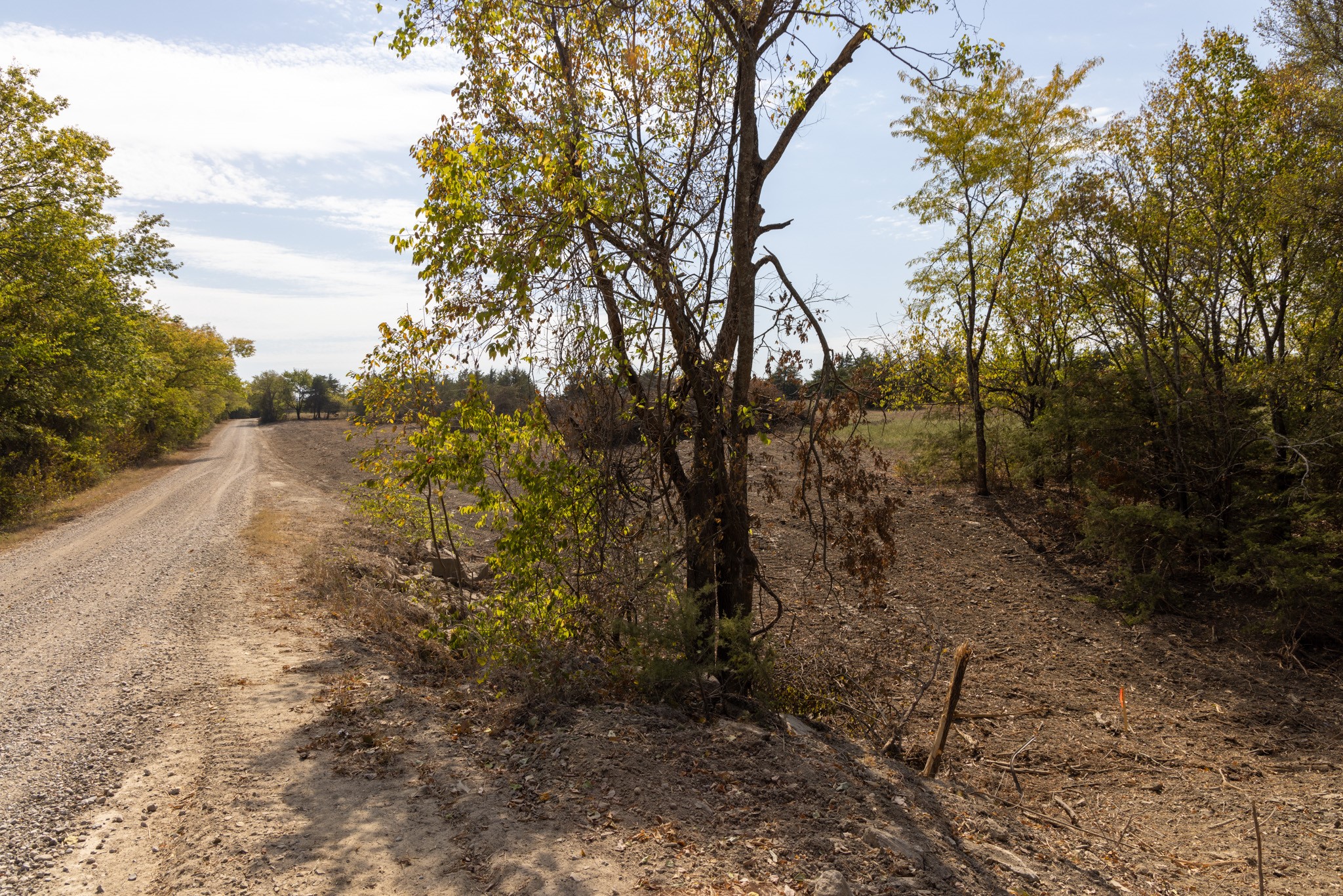 Tract 6 County Road 2935 Dodd City TX 75438