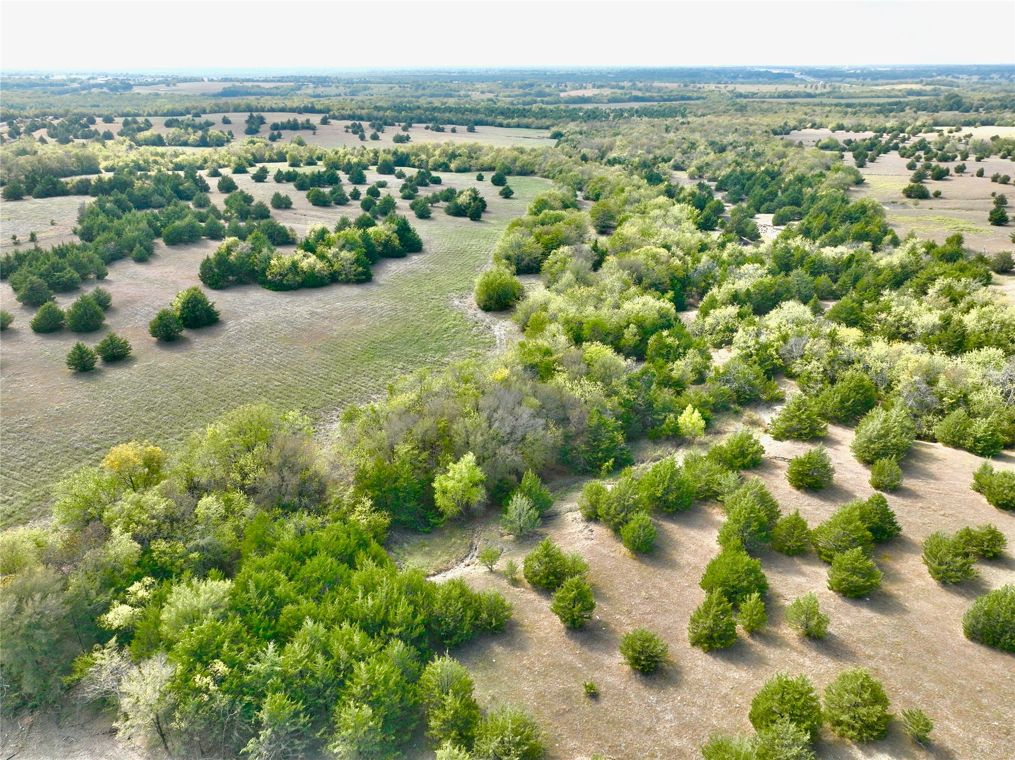 Tract 6 County Road 2935 Dodd City TX 75438