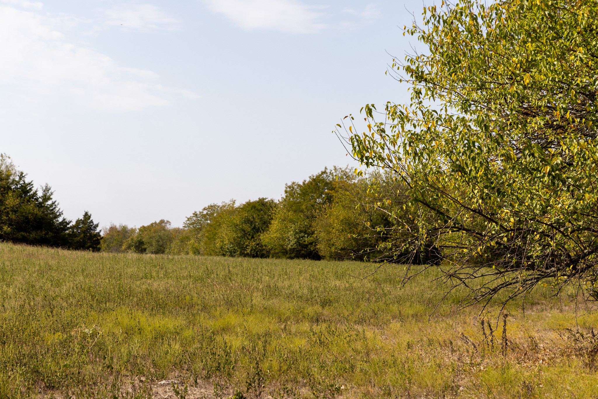Tract 6 County Road 2935 Dodd City TX 75438