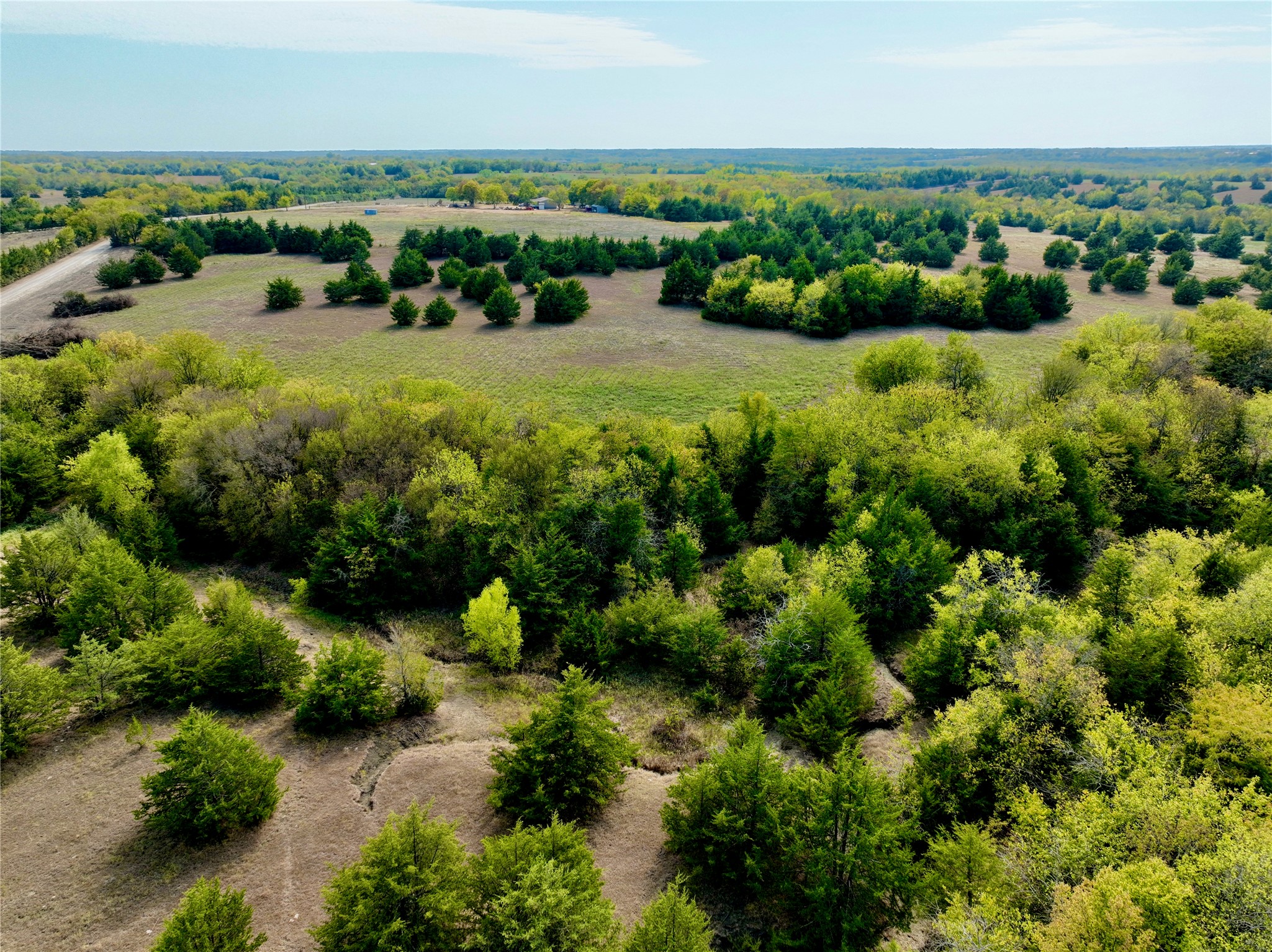 Tract 6 County Road 2935 Dodd City TX 75438