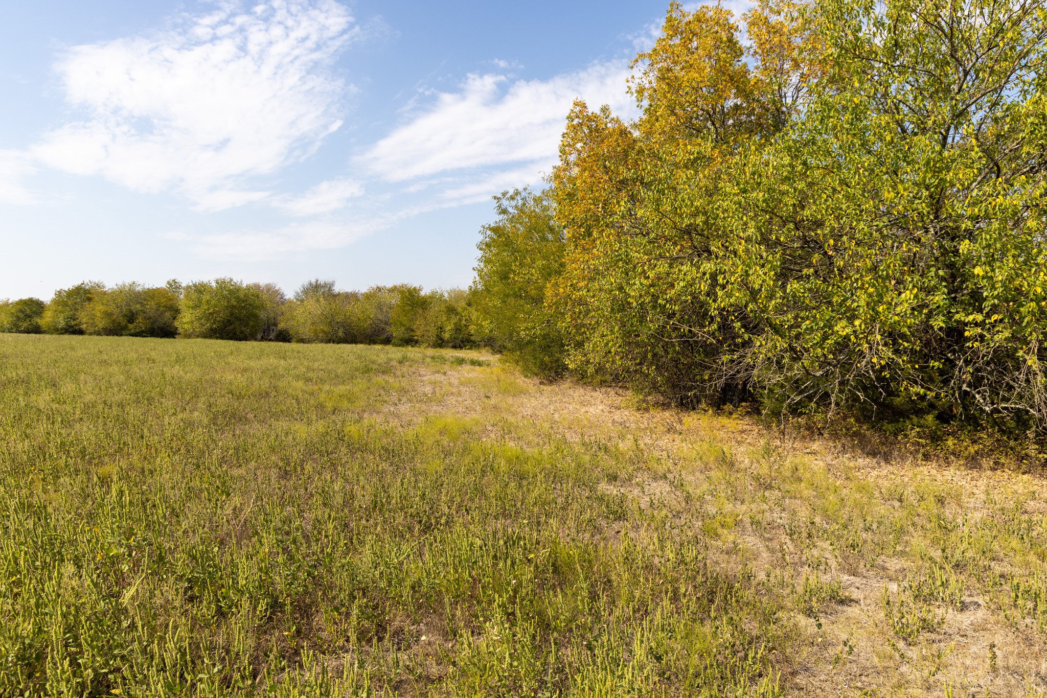 Tract 6 County Road 2935 Dodd City TX 75438
