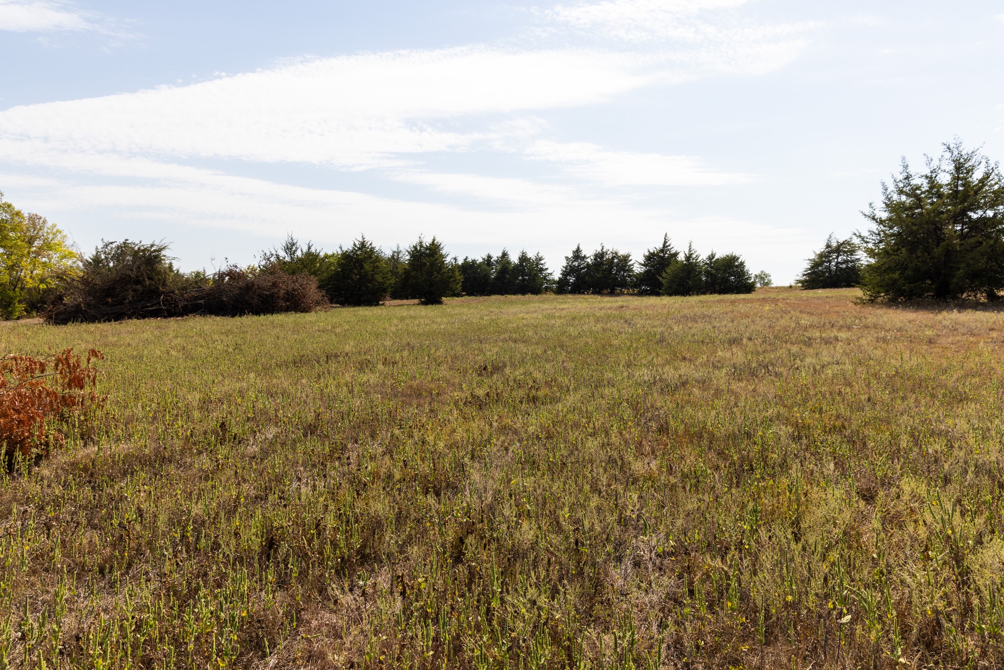 Tract 6 County Road 2935 Dodd City TX 75438