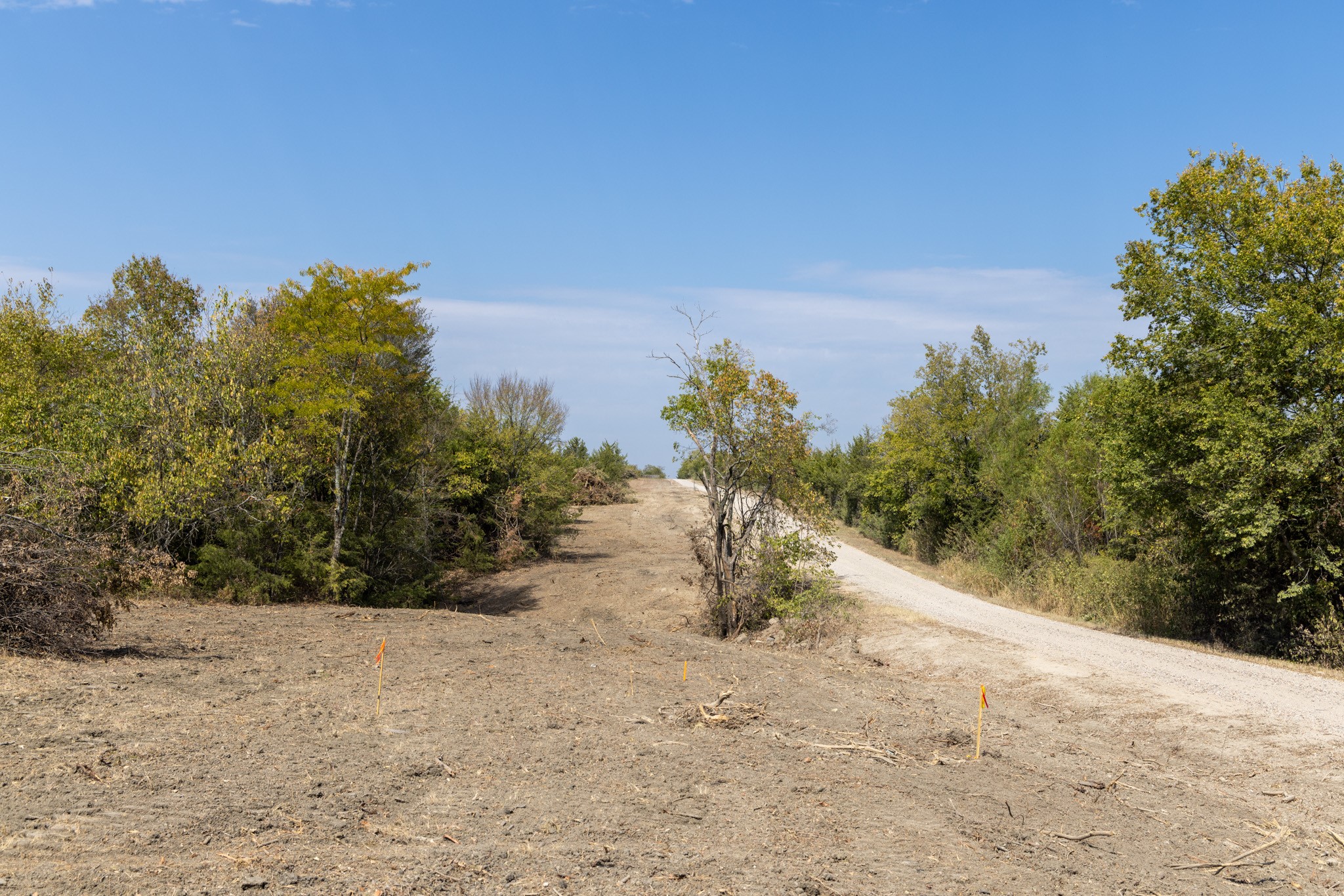 Tract 6 County Road 2935 Dodd City TX 75438
