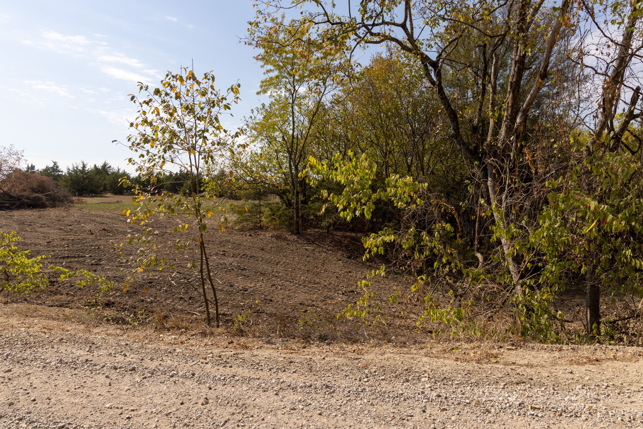 Tract 6 County Road 2935 Dodd City TX 75438