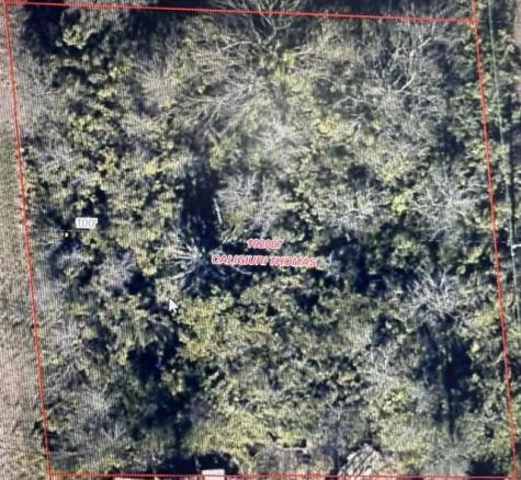 TBD LOT 121-122 Richard Drive Gordonville TX 76245