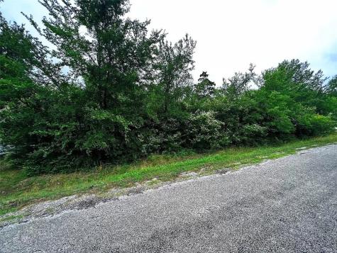 TBD LOT 121-122 Richard Drive Gordonville TX 76245