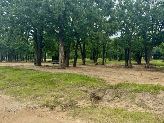 Tbd Lot 121-122 Richard Drive Gordonville TX 76245