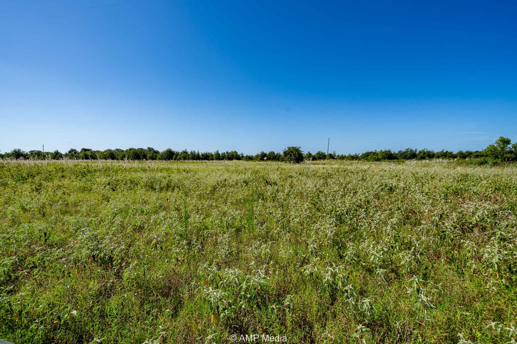 Tbd Cr 240 Rising Star TX 76471