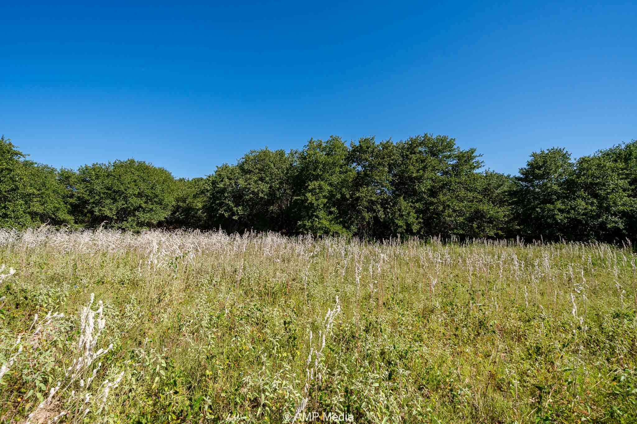Tbd Cr 240 Rising Star TX 76471