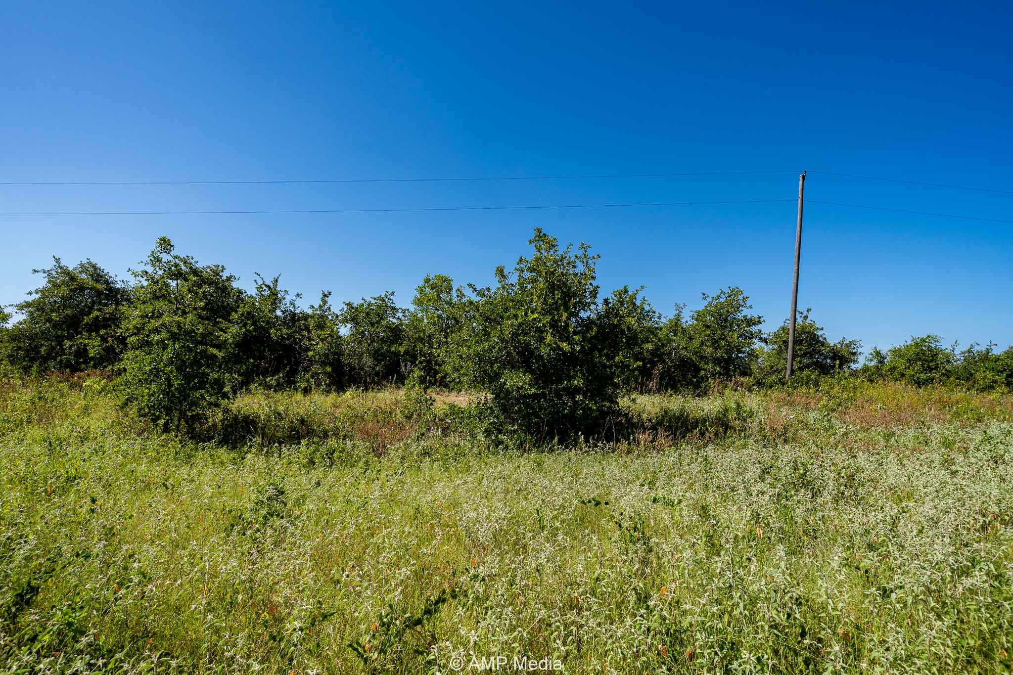 Tbd Cr 240 Rising Star TX 76471