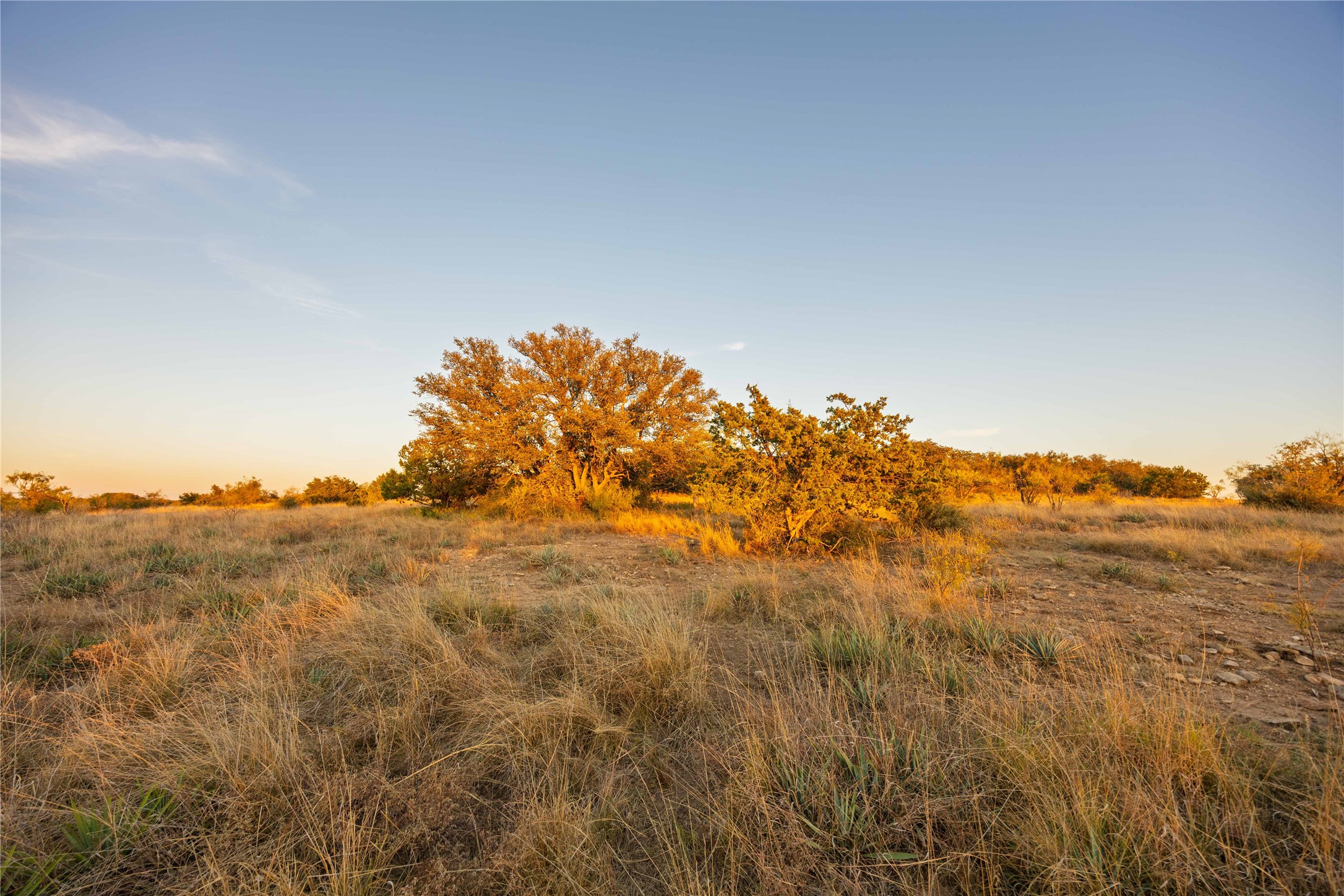 8400 County Road 201 Brownwood TX 76801